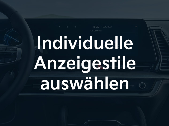 Sportage AVN: Individuelle Anzeigenstile auswählen
