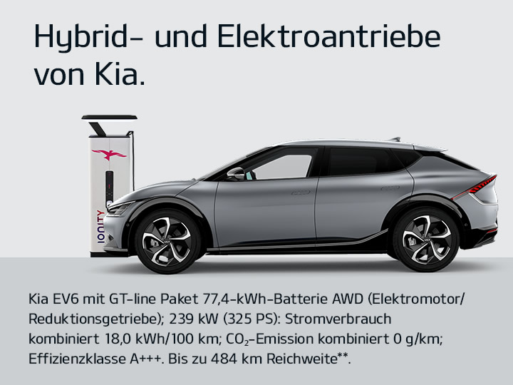 Welcher Kia passt zu mir?