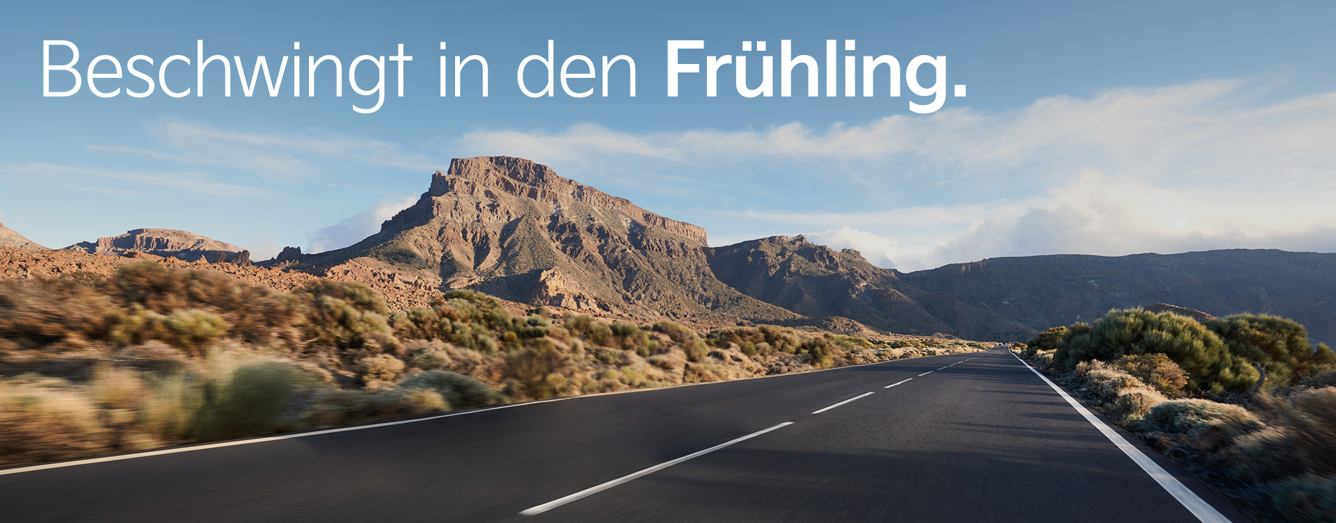 Beschwingt in den Frühling