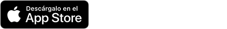 Apple App Store icon