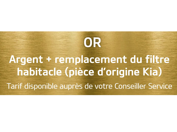 Or – Désinfection et purification à l’ozone ou par aérosol et remplacement du filtre d'habitacle