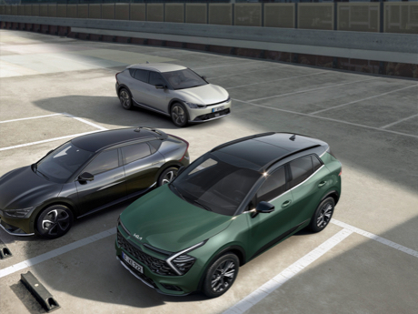 Remote Smart Parking Assist (RSPA)