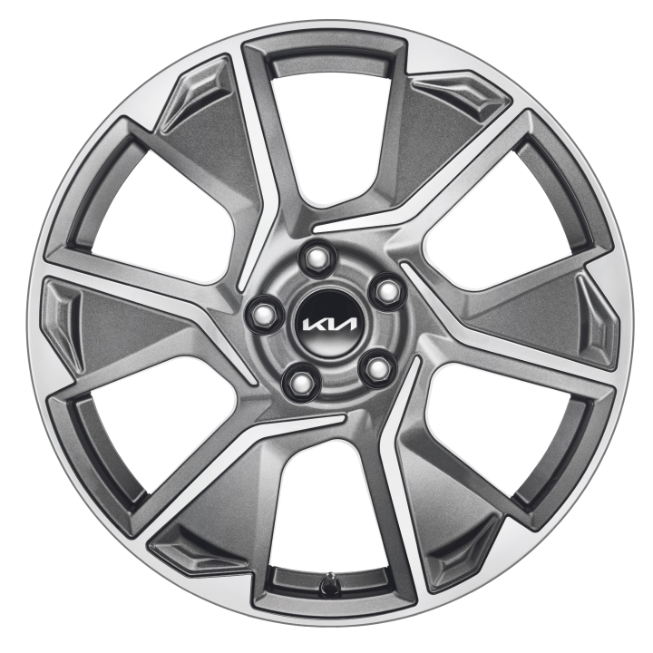 Alu disk 19", NonSan