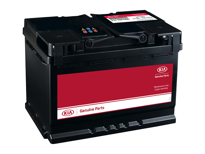 Service Advisor shows the results of the battery testing the customer