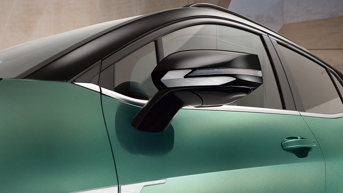 Door mirror trims and side trim lines