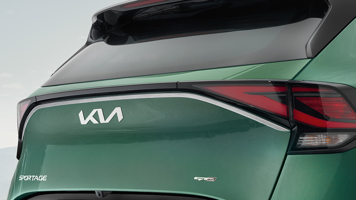 Tailgate trim line