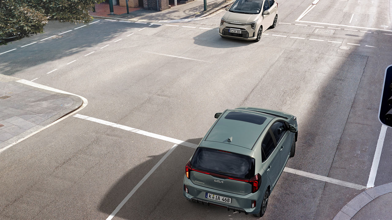 Autonome noodremassistentie (FCA)