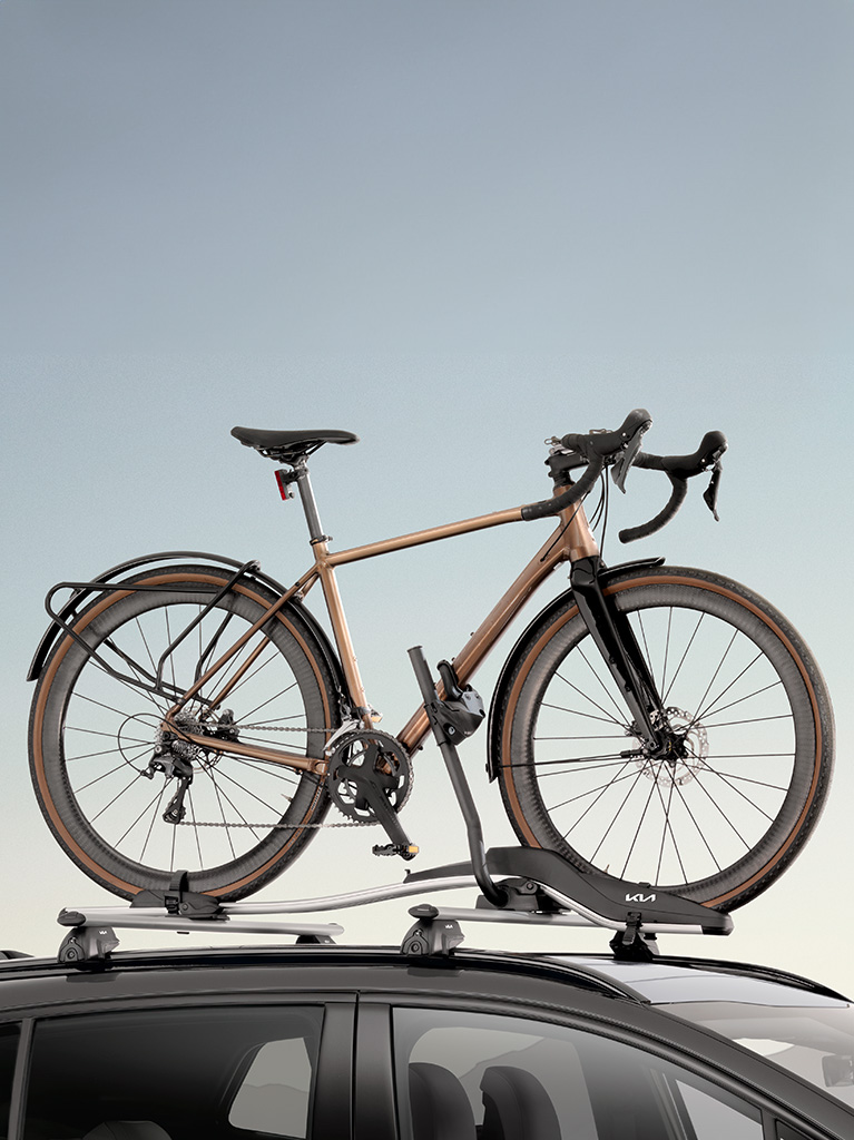 accessories  Bike Carrier Plus