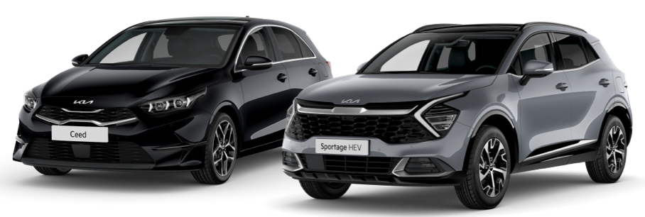 Kia Picanto en Sportage
