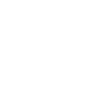 Play icon