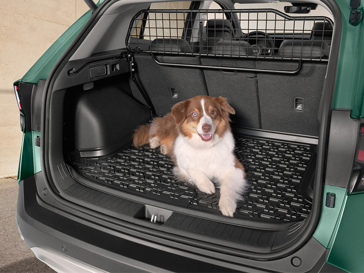 Trunk liner